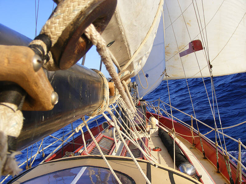Sail with us